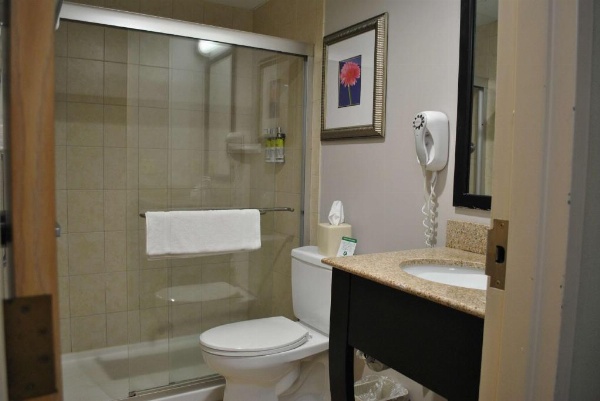 Best Western Owego Inn image 28